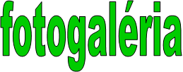 fotogalria